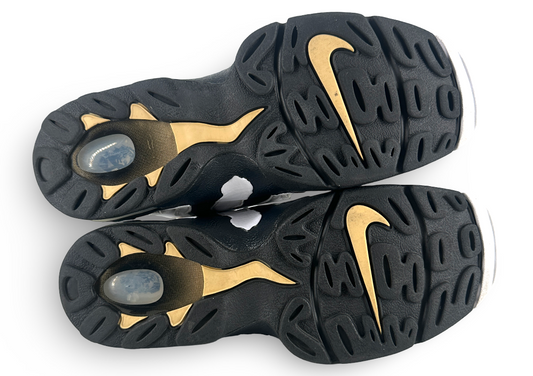 Nike Air DT Max '96 Colorado Away White Black