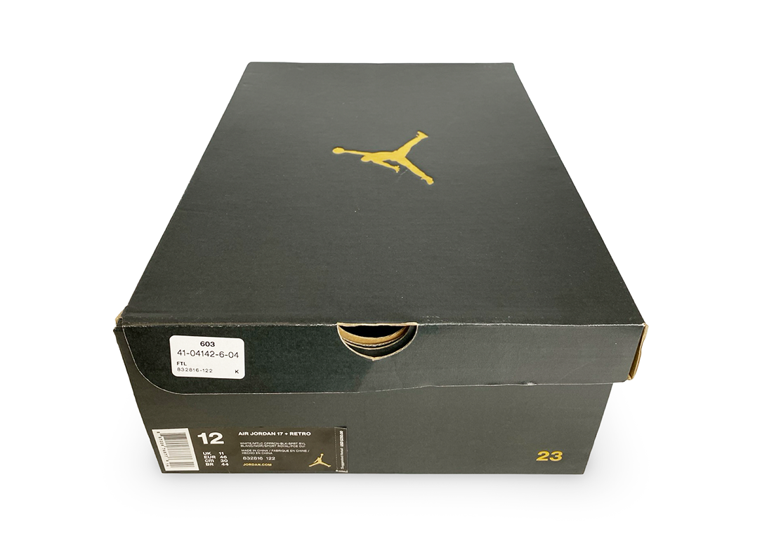 Jordan 17 Retro Copper (2016)