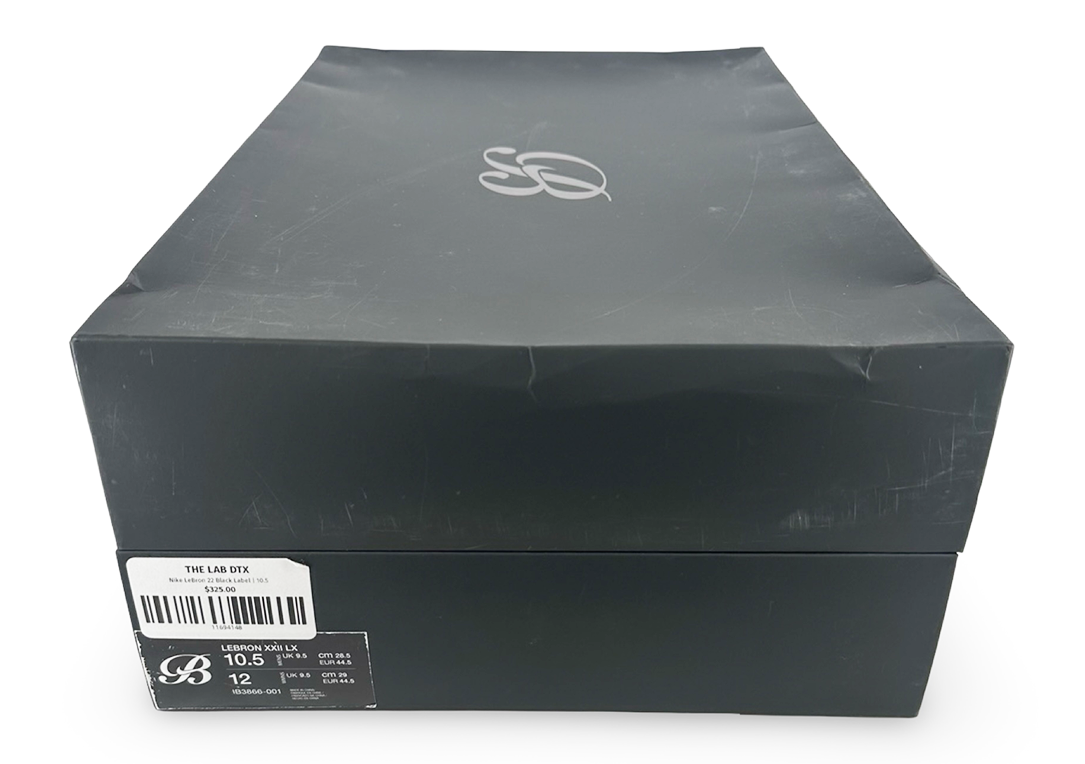 Nike LeBron 22 Black Label