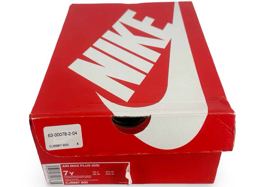 Nike Air Max Plus GS 'Neptune Green'