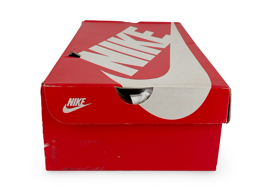 Nike Dunk Low SE Primal White (Women's)