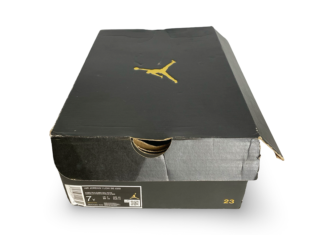 Jordan 4 Retro Starfish (Womens)