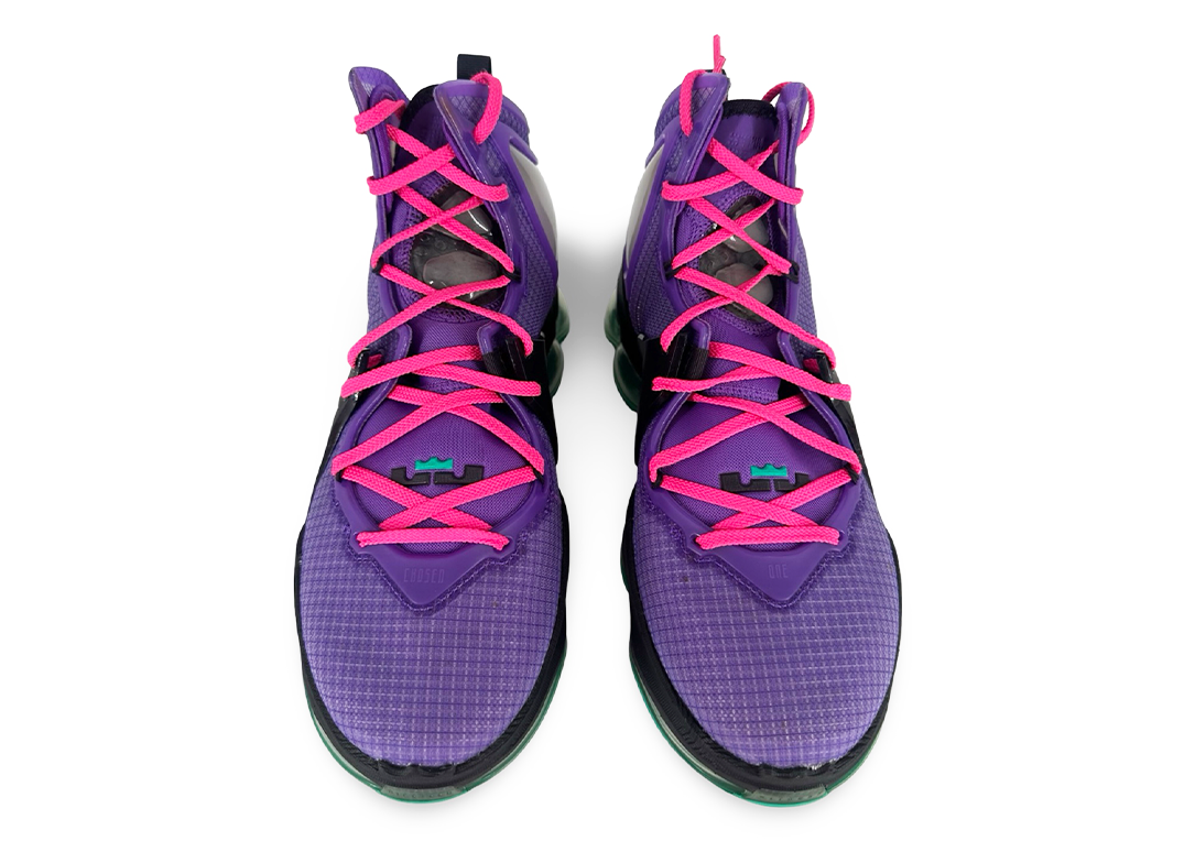 Nike LeBron 19 DJ Bron