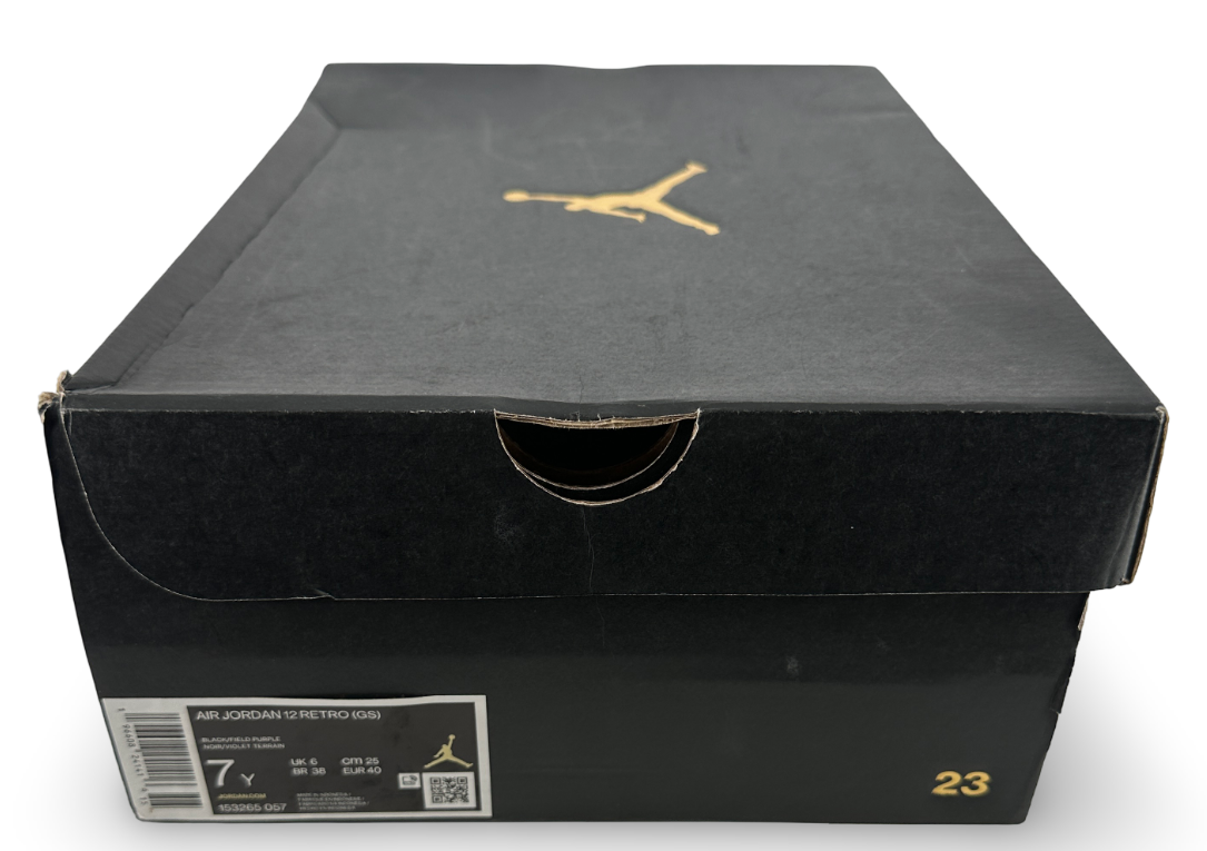 Jordan 12 Retro Field Purple (GS)