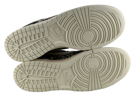 Nike Dunk Low SE Gone Fishing Rainbow Trout