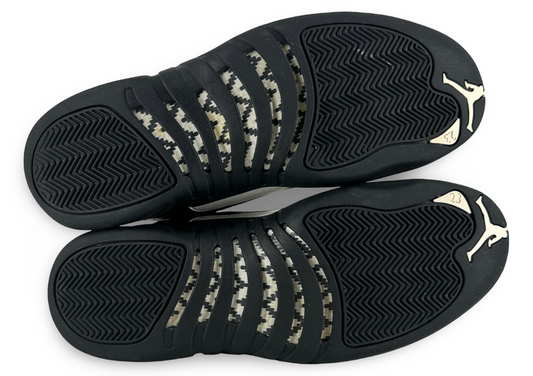 Jordan 12 Retro The Master