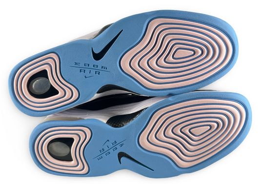 Nike Air Penny 2 Social Status Playground Black