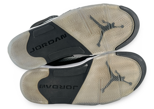 Jordan 5 Retro Moonlight (2021)
