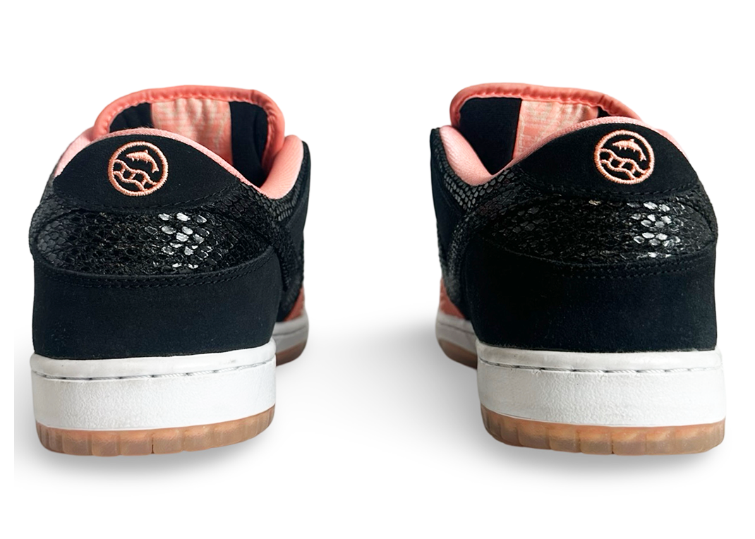 Nike SB Dunk Low Premier Fish Ladder
