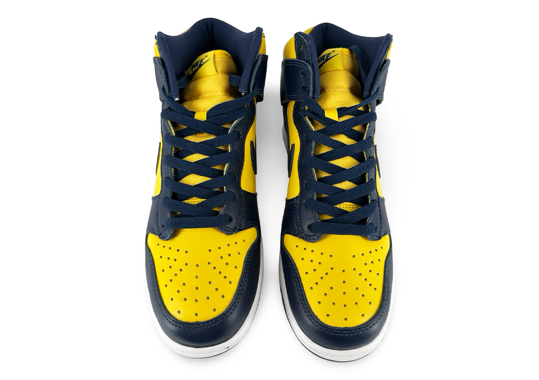 Nike Dunk High Michigan (2020)