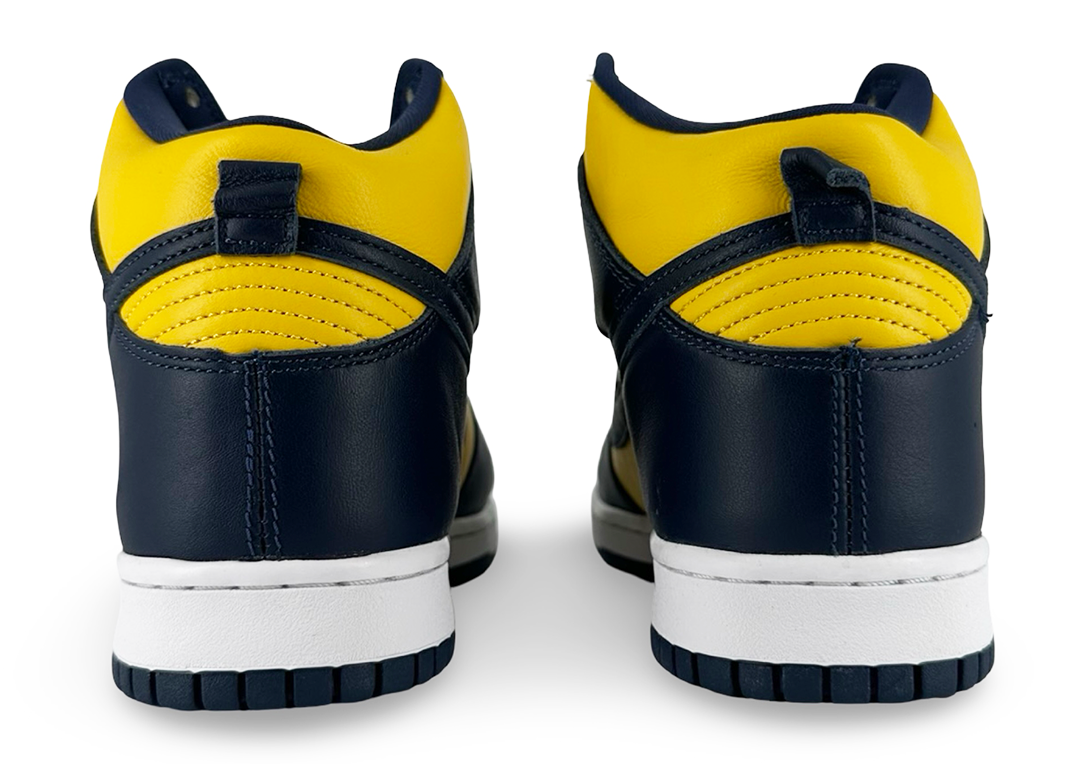 Nike Dunk High Michigan (2020)