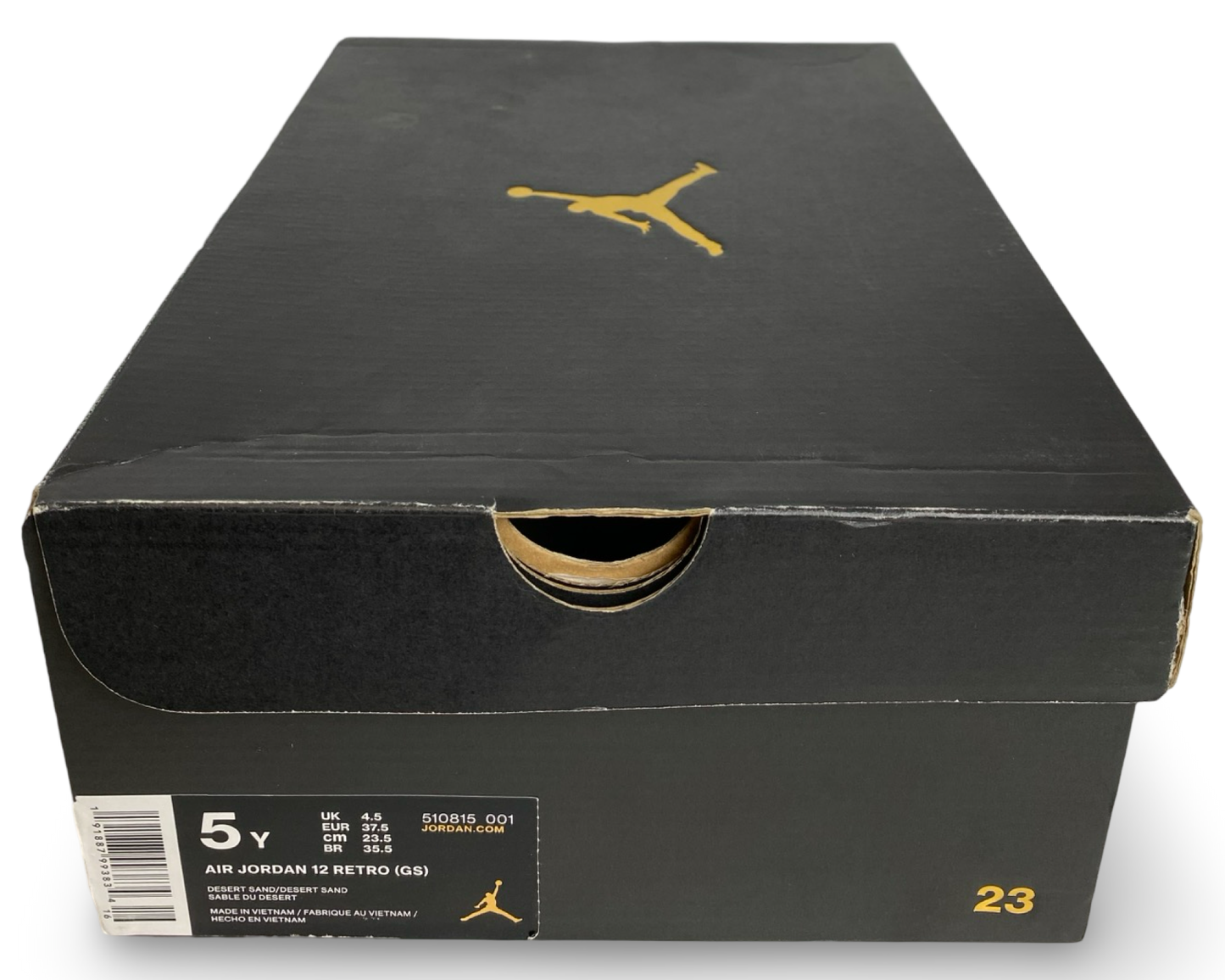 Jordan 12 Retro Desert Sand (GS)