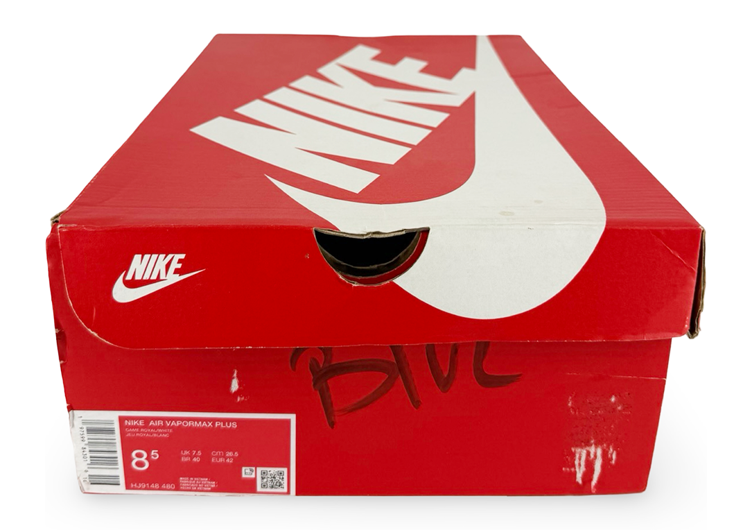 Nike Air VaporMax Plus Game Royal Metallic Silver