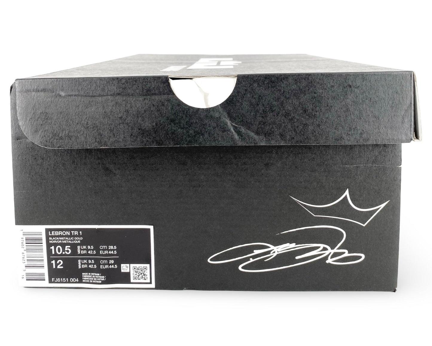 Nike LeBron TR 1