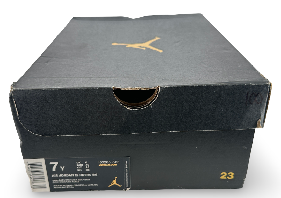 Jordan 12 Retro Flu Game (2025) (GS)