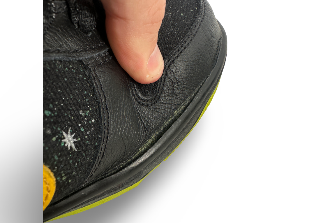 Nike SB Dunk Low Space Tiger