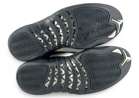 Jordan 12 Master (2016)