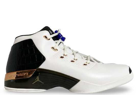Jordan 17 Retro Copper (2016)
