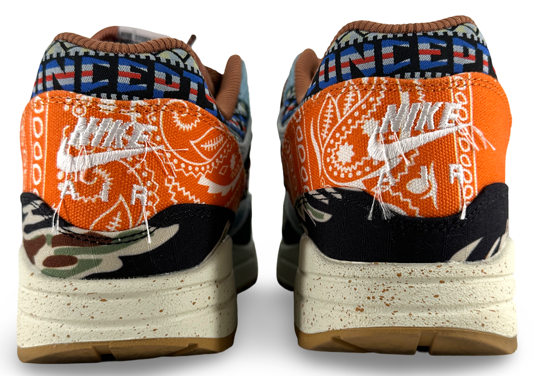 Nike Air Max 1 SP Concepts Heavy