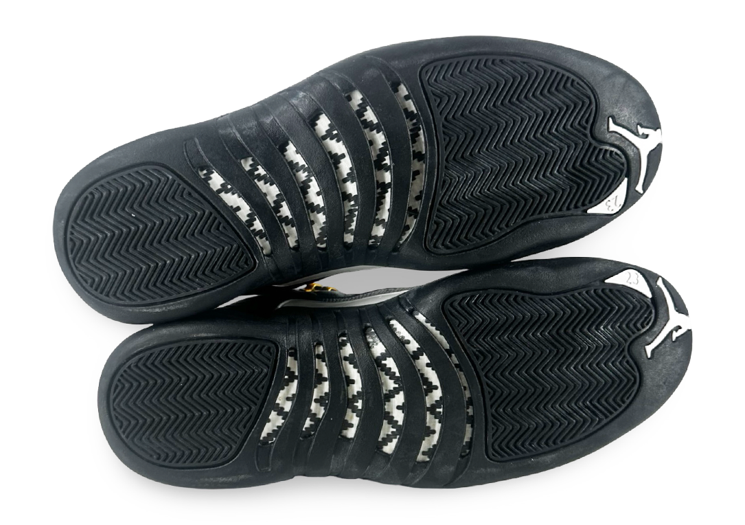 Jordan 12 Retro The Master