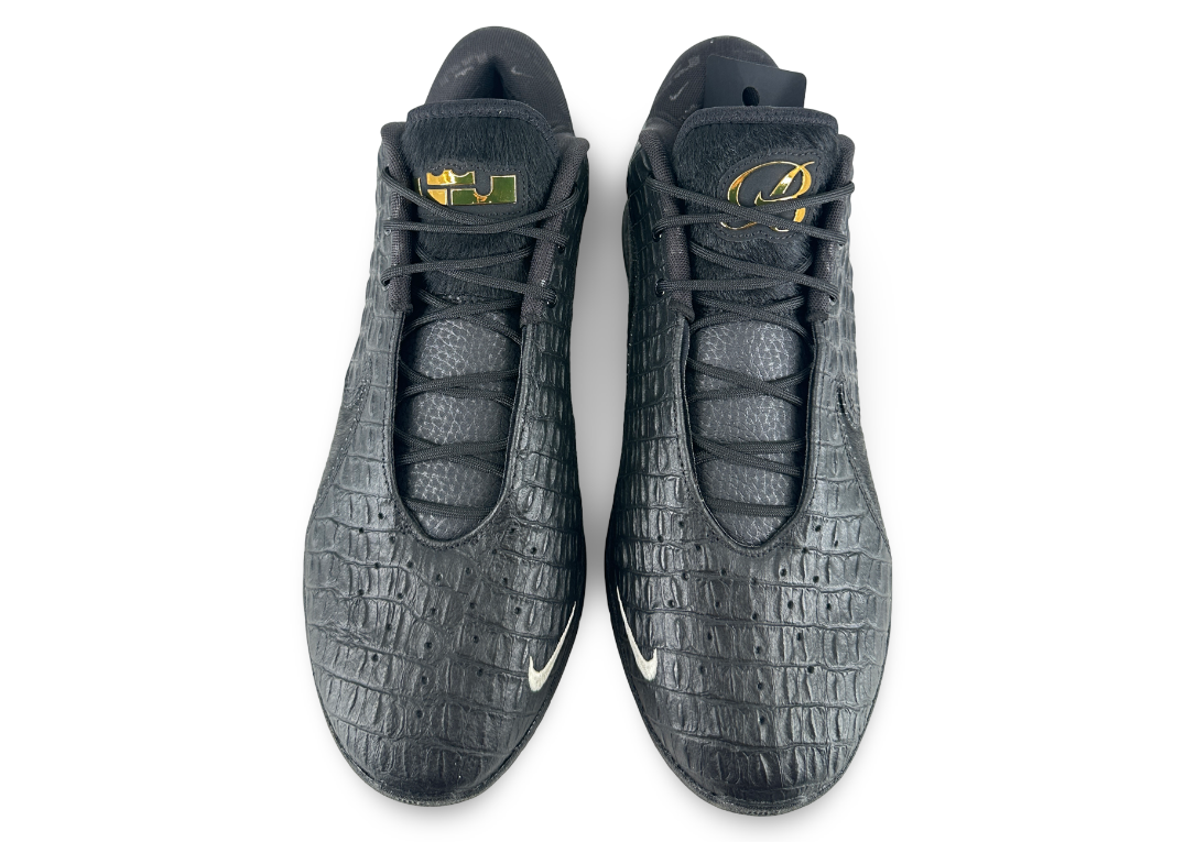 Nike LeBron 22 Black Label