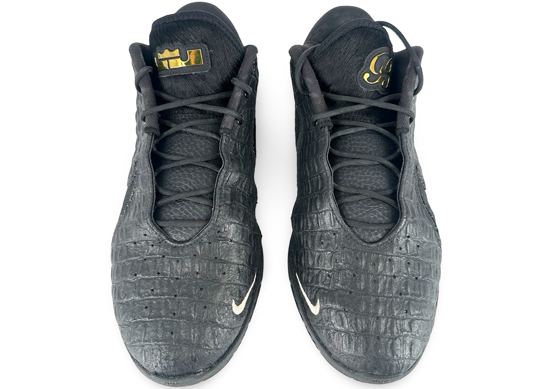 Nike LeBron 22 Black Label