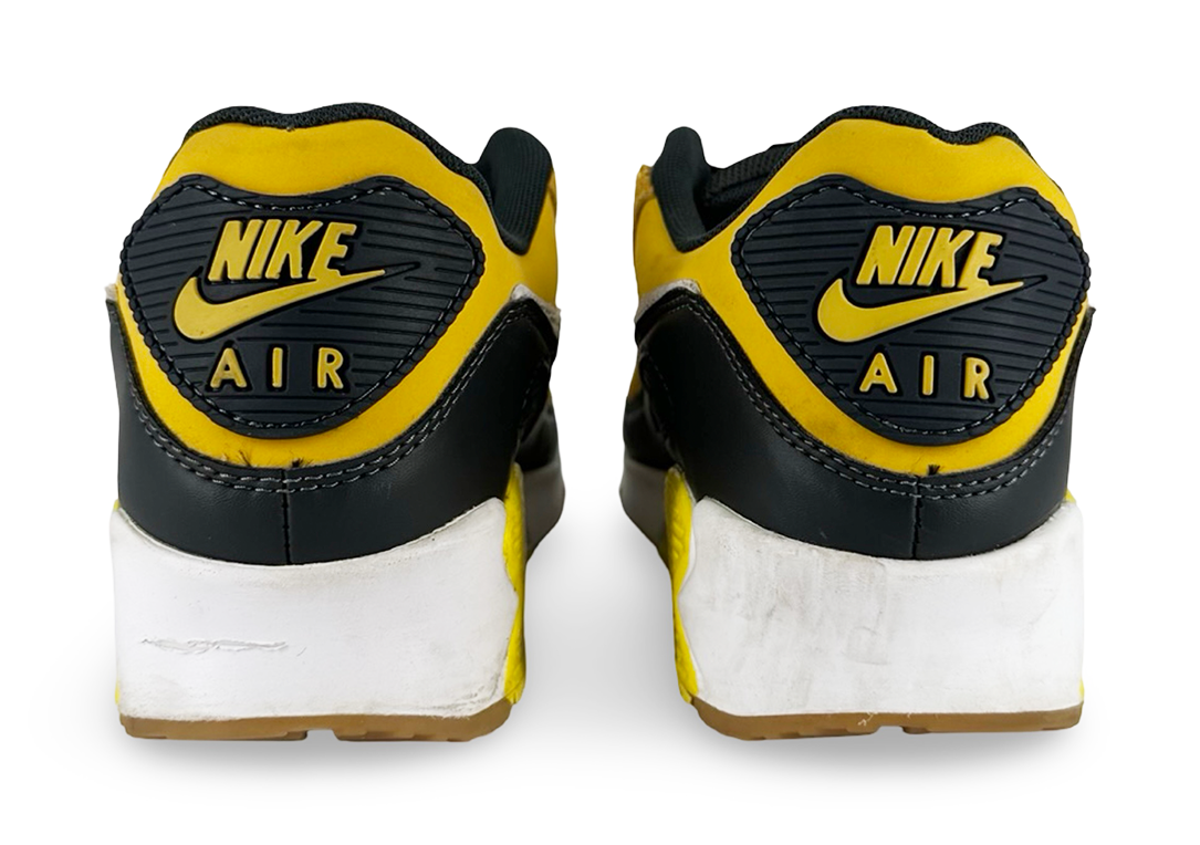 Nike Air Max 90 Go The Extra Smile