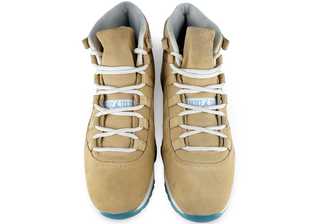 Jordan 11 Retro H-Town