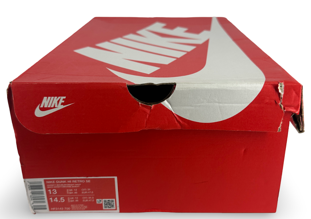 Nike Dunk High Michigan (2025)
