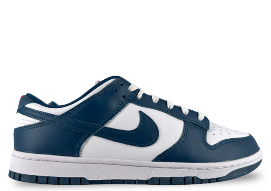 Nike Dunk Low Valerian Blue