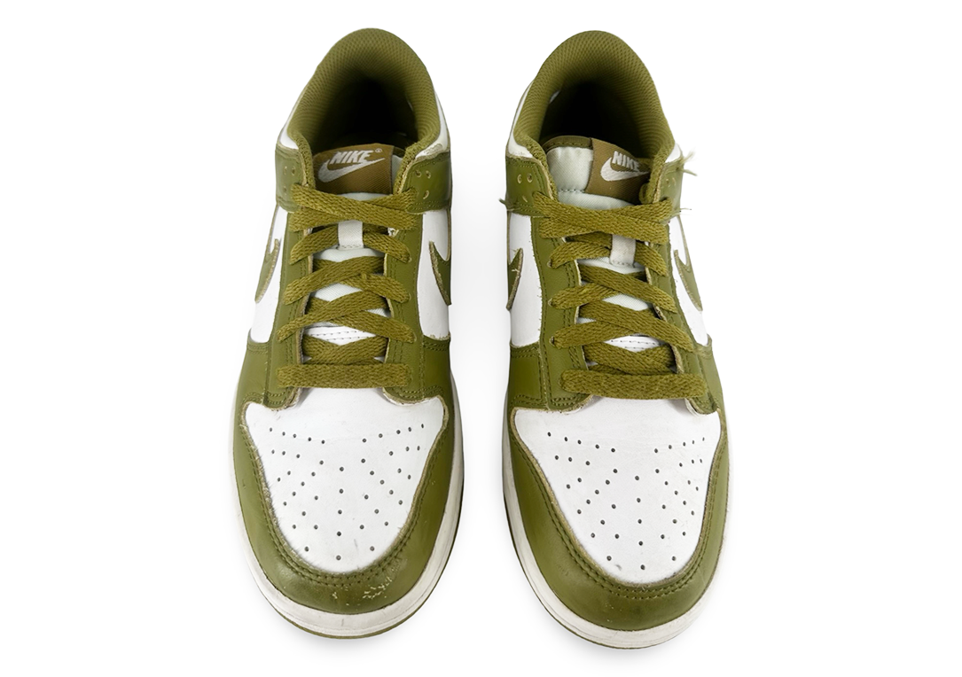 Nike Dunk Low Pacific Moss (GS)