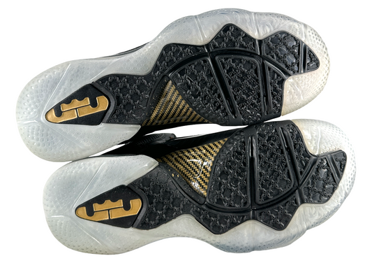 Nike LeBron 9 Watch the Throne (2022)