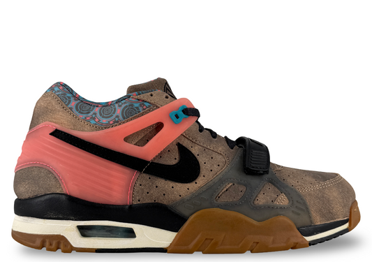 Nike Air Trainer III Super Bowl (2015)