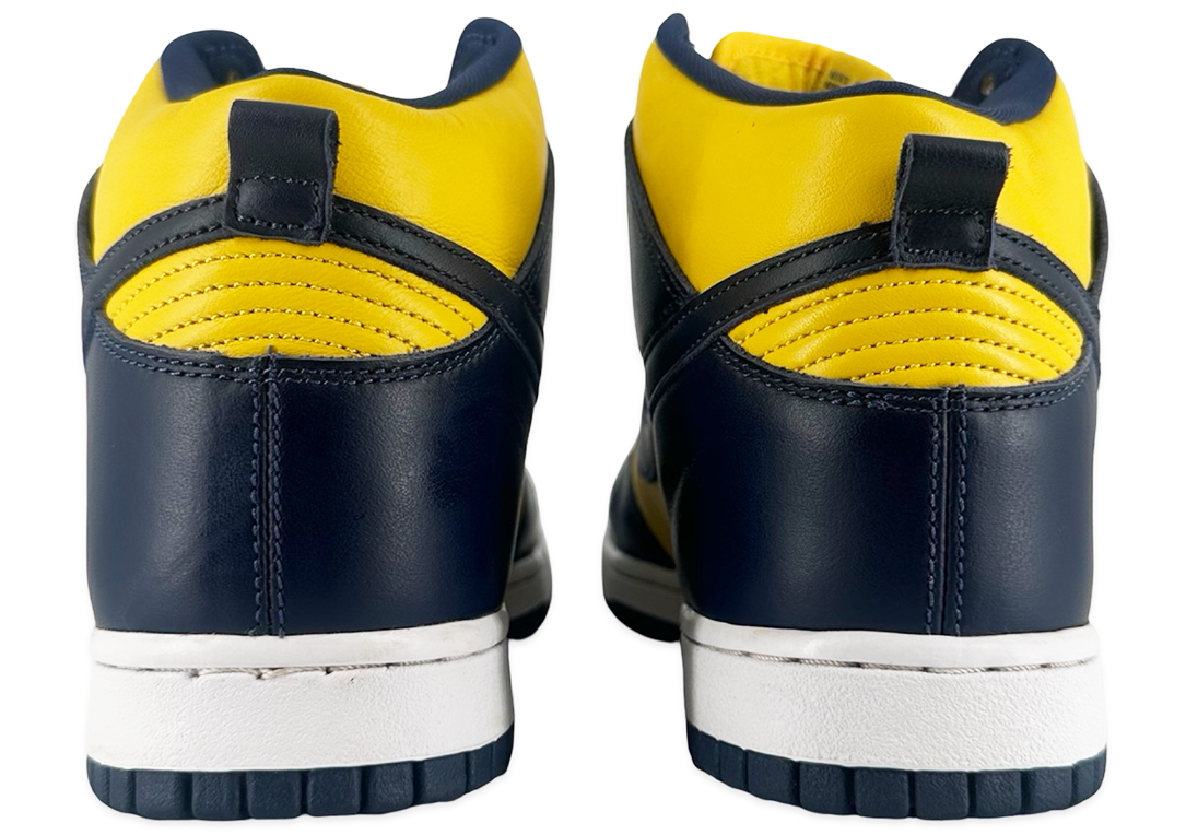 Nike Dunk High Michigan (2020)