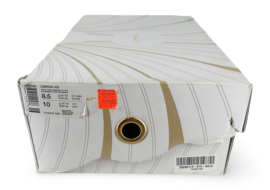 Nike LeBron 21 Purple Rain