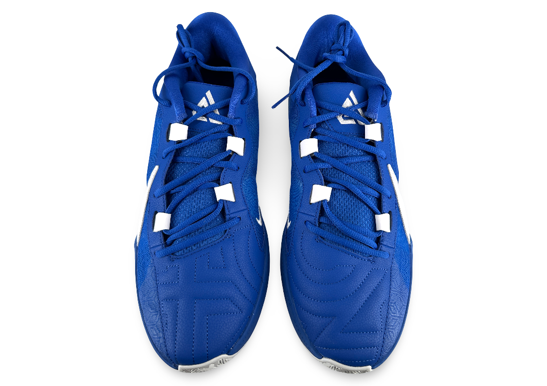 Nike Zoom Freak 5 TB Promo 'Game Royal'