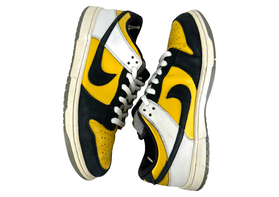 Nike SB Dunk Low Bic