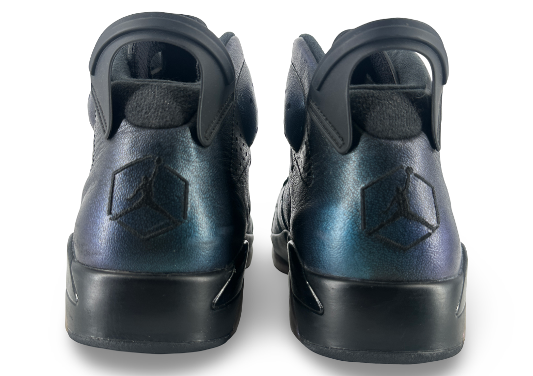 Jordan 6 Retro All-Star Chameleon (2017)