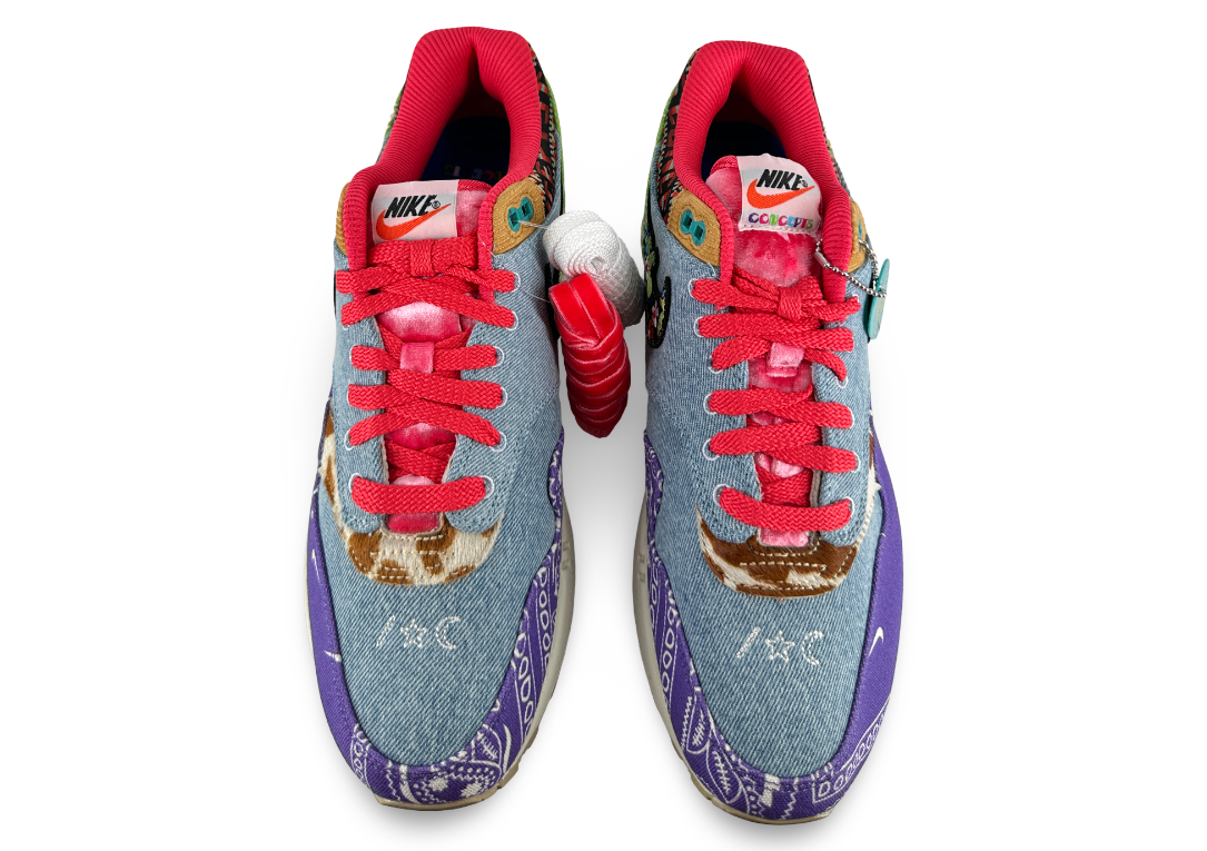 Nike Air Max 1 SP Concepts Far Out (Special Box)