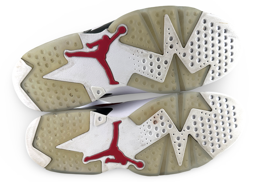 Jordan 6 Retro Carmine (2021)