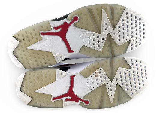 Jordan 6 Retro Carmine (2021)
