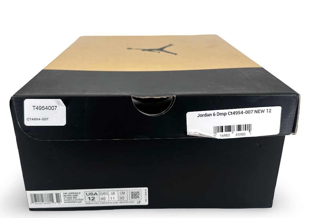 Jordan 6 Retro DMP (2020)