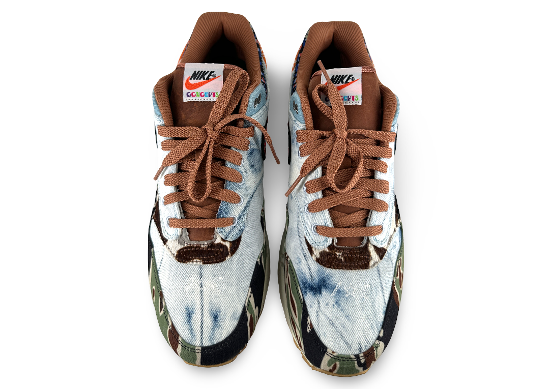 Nike Air Max 1 SP Concepts Heavy