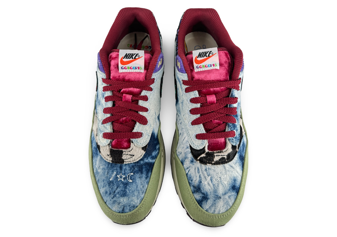 Nike Air Max 1 SP Concepts Mellow