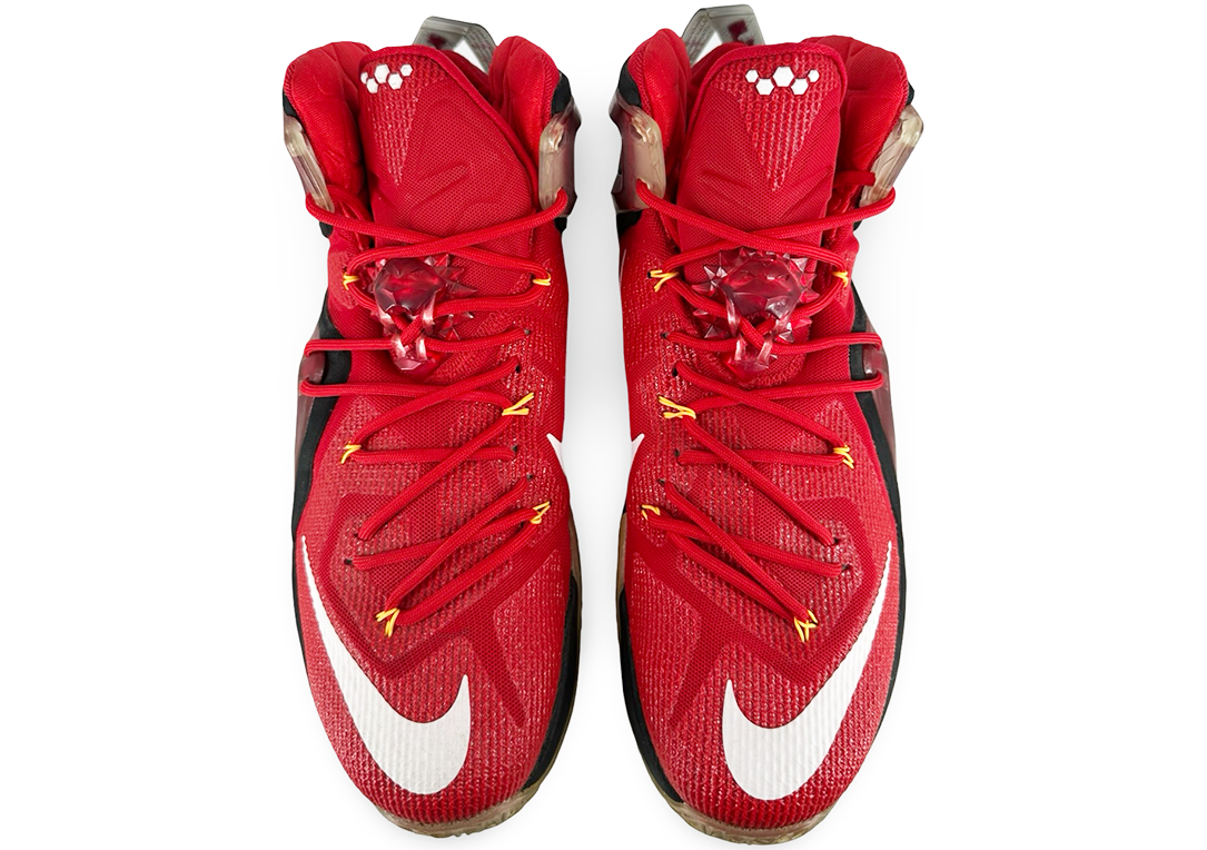 Nike LeBron 12 Elite Team
