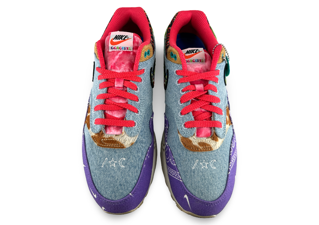 Nike Air Max 1 SP Concepts Far Out (Special Box)