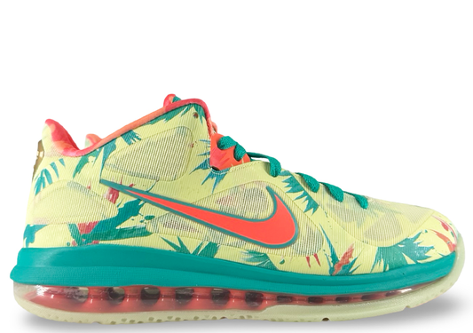 Nike LeBron 9 Low LeBronald Palmer (2022)