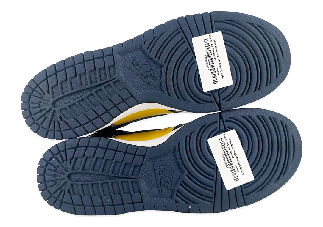 Nike Dunk High Michigan (2020)