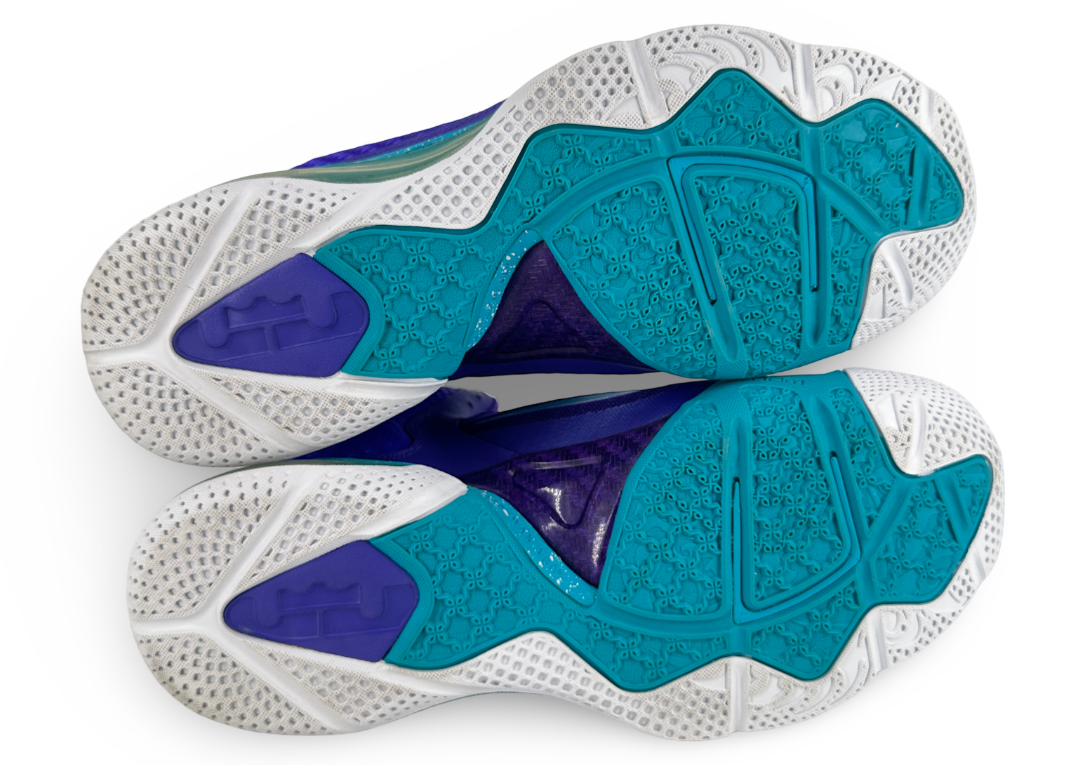 Nike LeBron 9 Summit Lake Hornets
