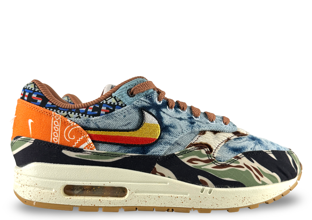 Nike Air Max 1 SP Concepts Heavy